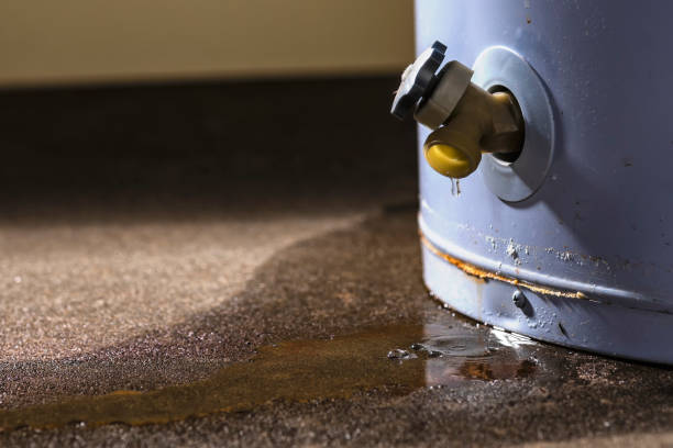 Best Local water damage restoration  in Fond Du Lac, WI