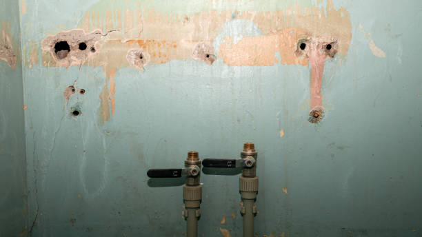 Best Flood damage cleanup  in Fond Du Lac, WI