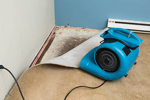 Water damage restoration mold remediation in Fond Du Lac, WI